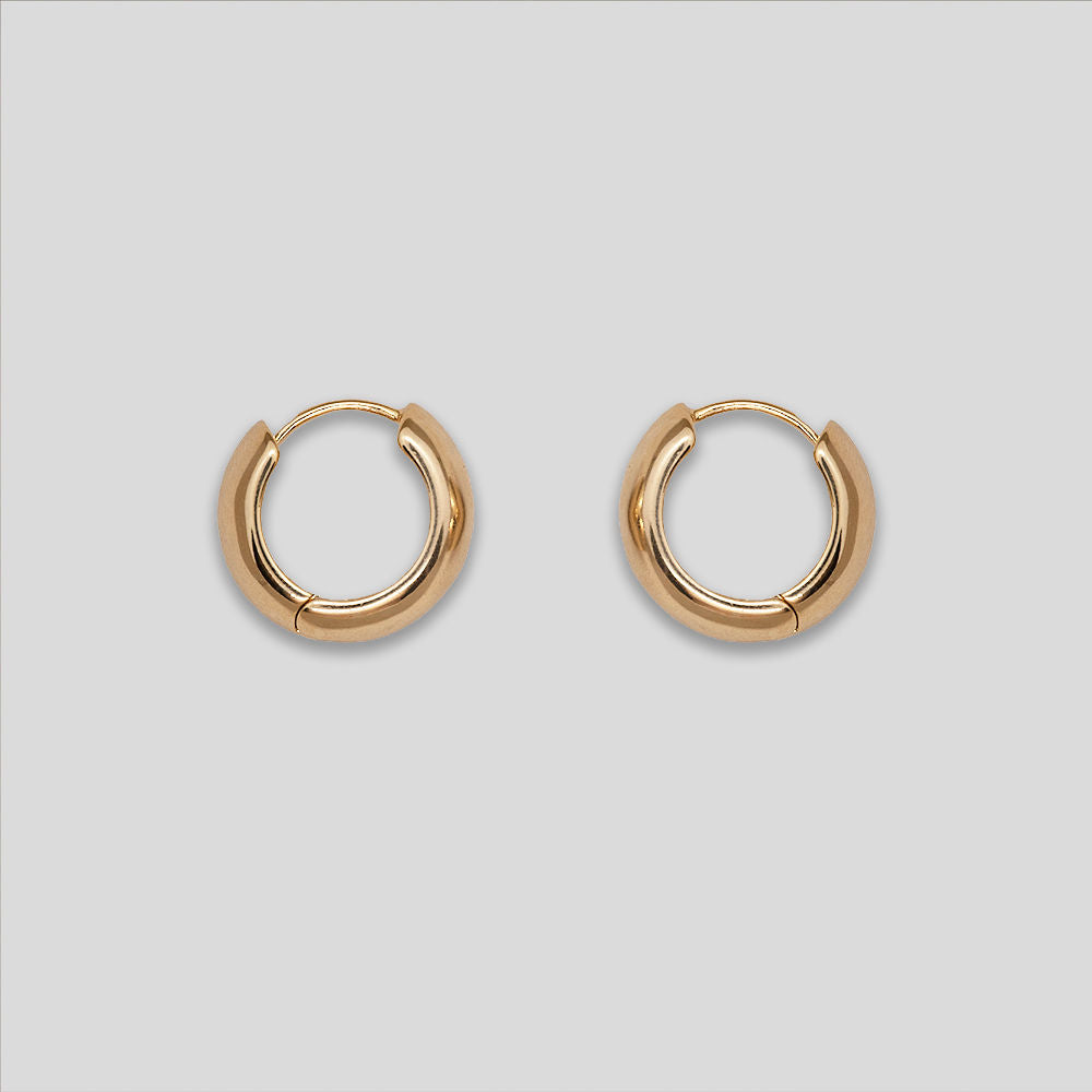 Small Thick Hoops - Gold